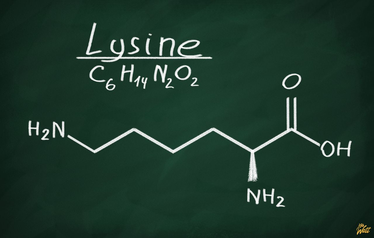 lysine