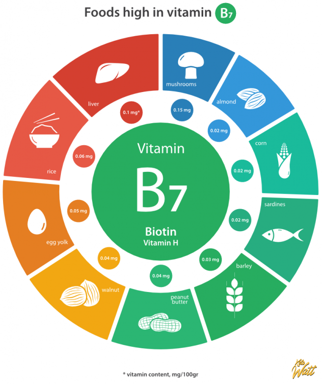 b7